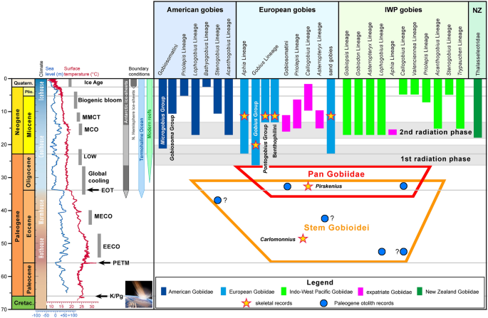 figure 51