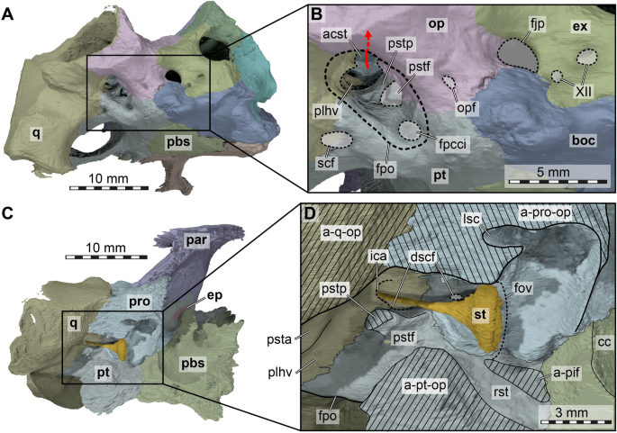 figure 11