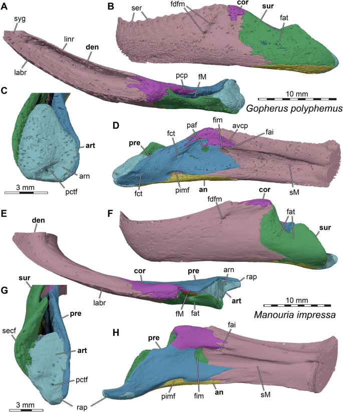 figure 15