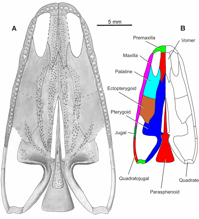 figure 14