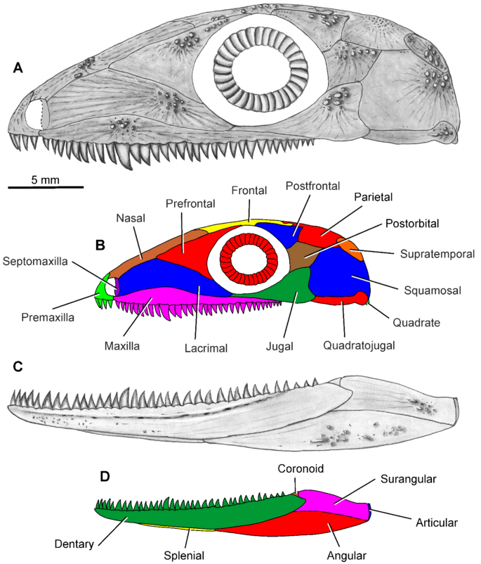 figure 15