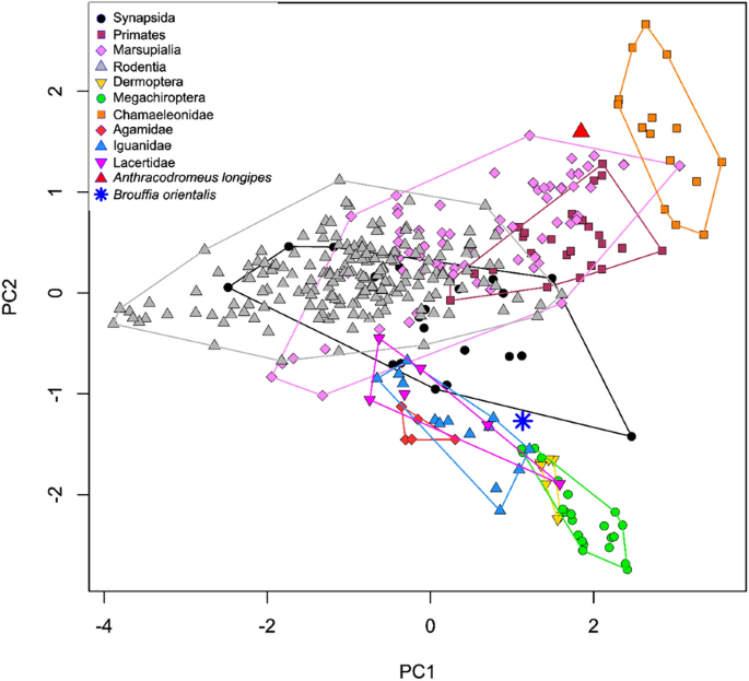 figure 18