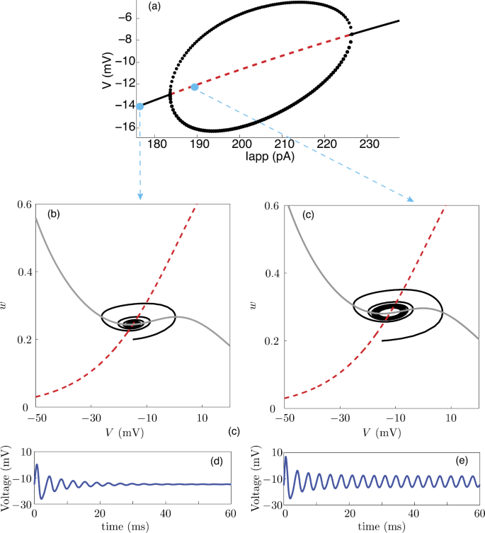 figure 21