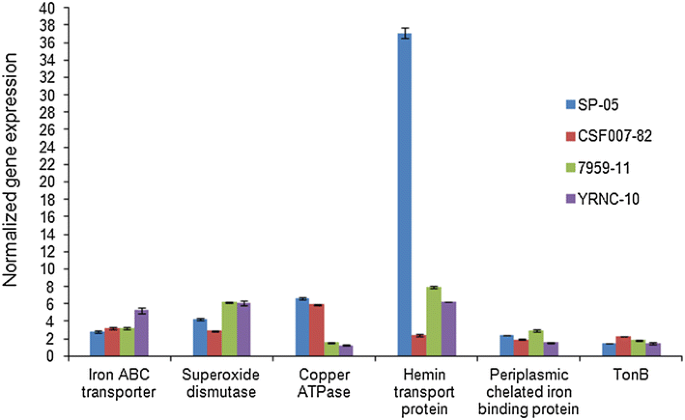 figure 4