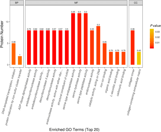 Label Free Quantitative Proteomic Analysis Of Molting Related Proteins Of Trichinella Spiralis Intestinal Infective Larvae Veterinary Research Full Text