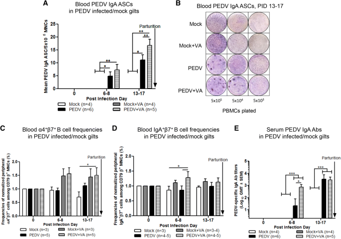 Oral Vitamin A Supplementation Of Porcine Epidemic Diarrhea Virus Infected Gilts Enhances Iga And Lactogenic Immune Protection Of Nursing Piglets Veterinary Research Full Text