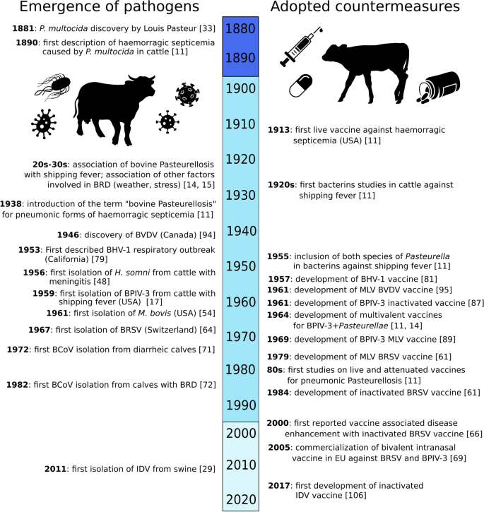 Understanding the mechanisms of viral and bacterial coinfections in bovine  respiratory disease: a comprehensive literature review of experimental  evidence | Veterinary Research | Full Text