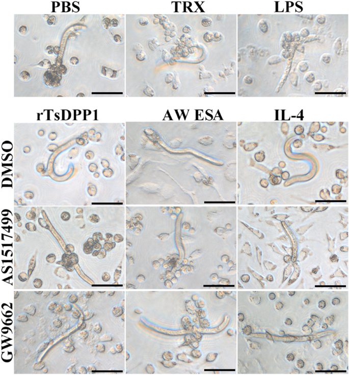 figure 16