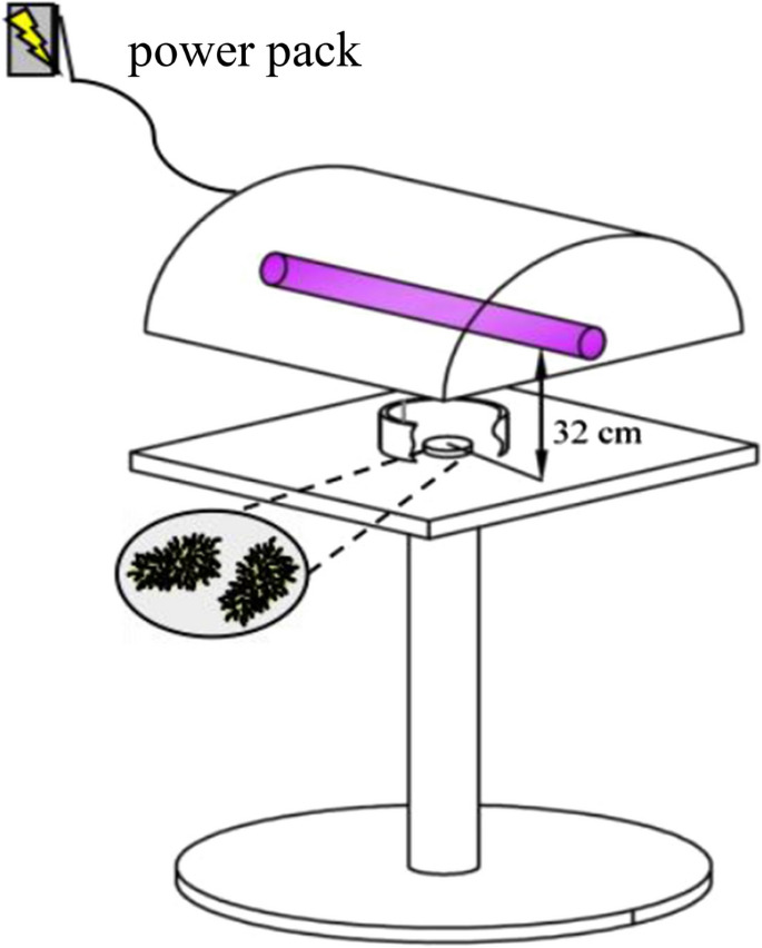 Study on disinfection effect of a 222-nm UVC excimer lamp on object surface  | AMB Express | Full Text