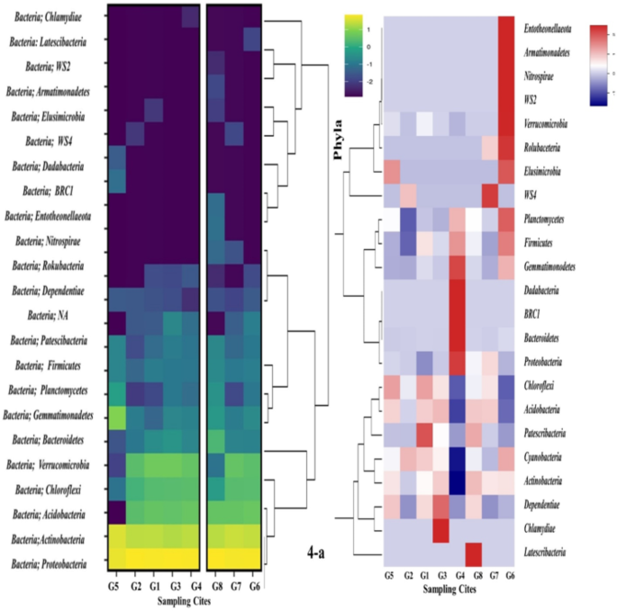 Rest Bacteria Resurrected microorganisms: a plethora of resting bacteria underway for ...
