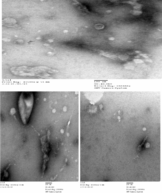 Fig. 4