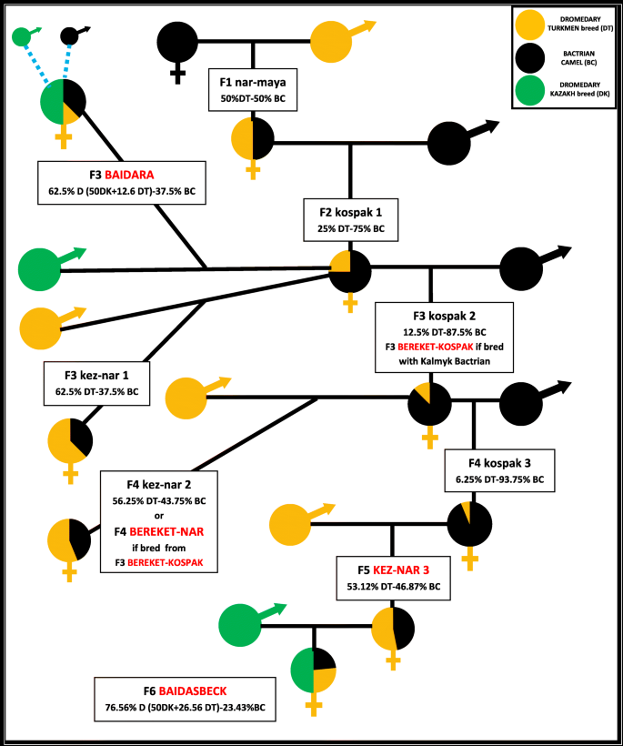 figure 18