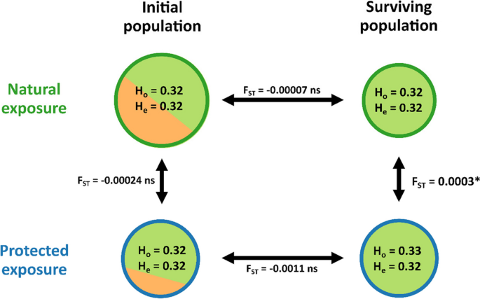 figure 23