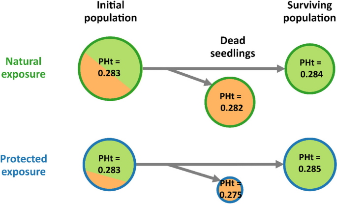 figure 25