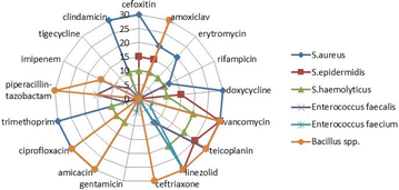 figure 26