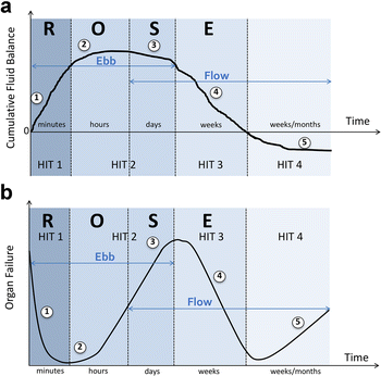 Principles of fluid management and stewardship in septic shock: it is time to consider the four D's and the four phases of fluid therapy | Annals of Intensive Care | Full Text Principles of fluid management and stewardship in septic shock: it is time to consider the four D's and the four phases of fluid therapy | Annals of Intensive Care | Full Text