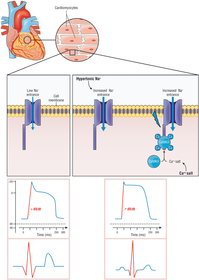 figure2