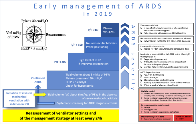 Formal guidelines: management of acute respiratory distress syndrome |  Annals of Intensive Care | Full Text