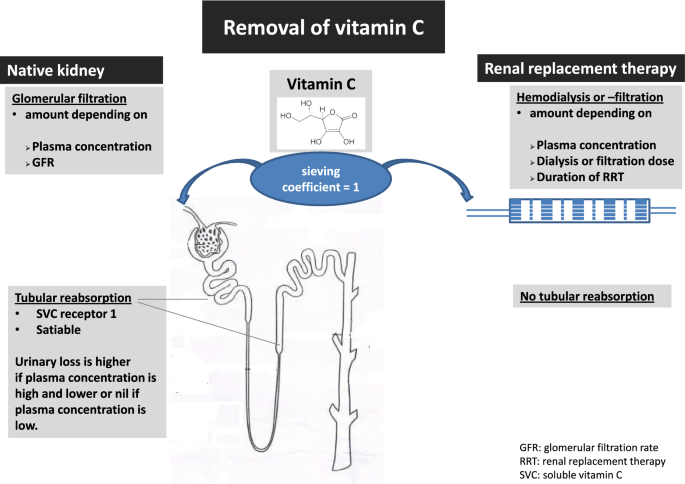 Dosing vitamin C in critically ill patients with special attention to renal  replacement therapy: a narrative review | Annals of Intensive Care | Full  Text