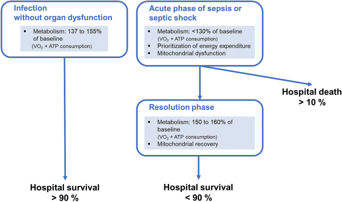 Energetic dysfunction in sepsis: a narrative review | Annals of Intensive  Care | Full Text