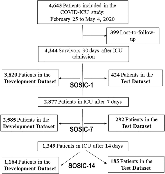 ISARIC-COVID-19 dataset: A Prospective, Standardized, Global