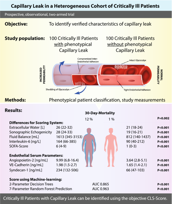 Lactate induces vascular permeability via disruption of VE-cadherin in  endothelial cells during sepsis