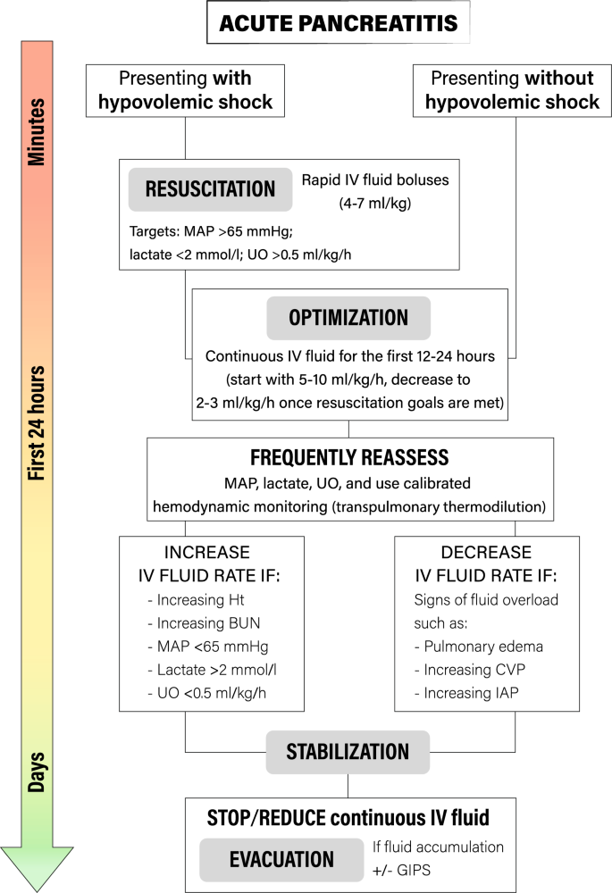 Intravenous fluid therapy in patients with severe acute pancreatitis  admitted to the intensive care unit: a narrative review | Annals of  Intensive Care | Full Text