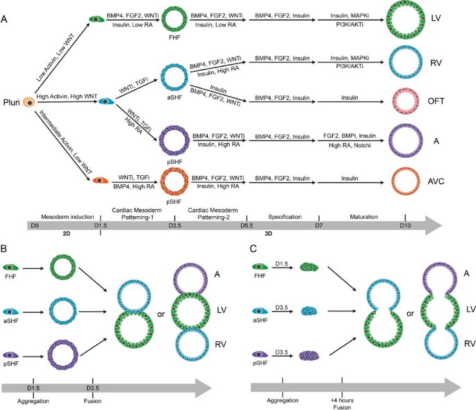new horizons of research figure 1