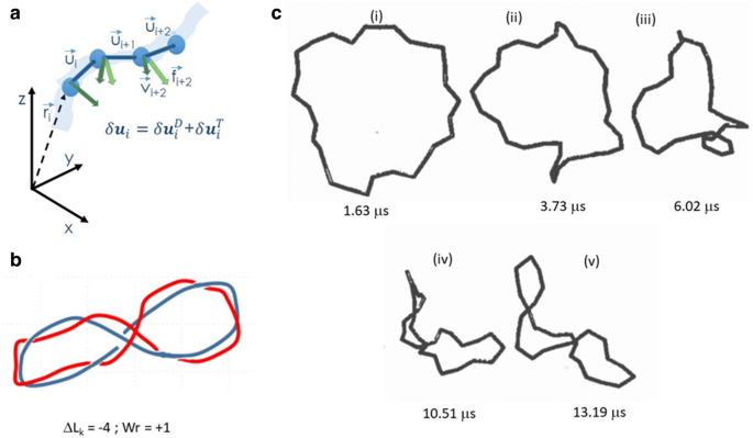 figure 8