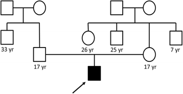 figure 21