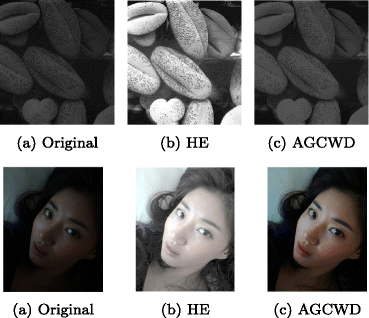 An adaptive gamma correction for image enhancement | EURASIP Journal on  Image and Video Processing | Full Text