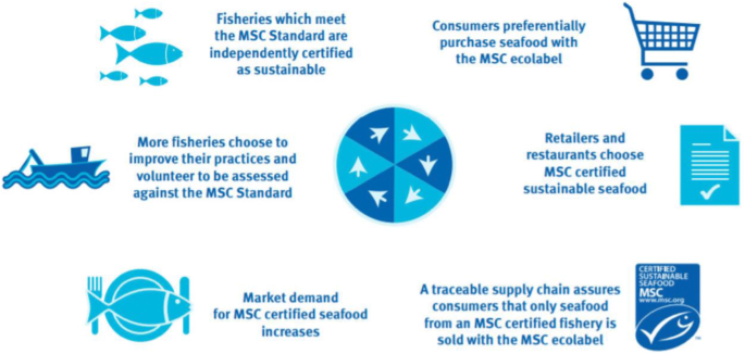 What do we know about the impacts of the Marine Stewardship