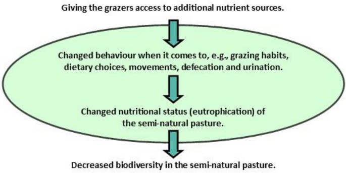 What is the effect of giving the grazers access to additional nutrient  sources on biodiversity in semi-natural pastures? A systematic review  protocol | Environmental Evidence | Full Text