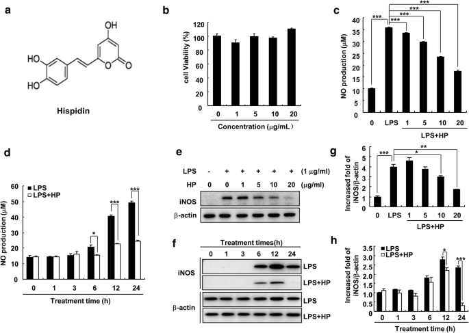 Anti-inflammatory effect of hispidin on LPS induced macrophage inflammation  through MAPK and JAK1/STAT3 signaling pathways | Applied Biological  Chemistry | Full Text