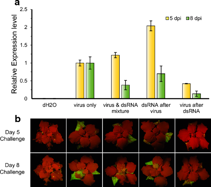 Double Stranded Rna Confers Resistance To Pepper Mottle Virus In Nicotiana Benthamiana Applied Biological Chemistry Full Text