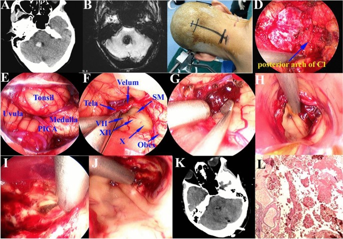 sample research journal article figure 1