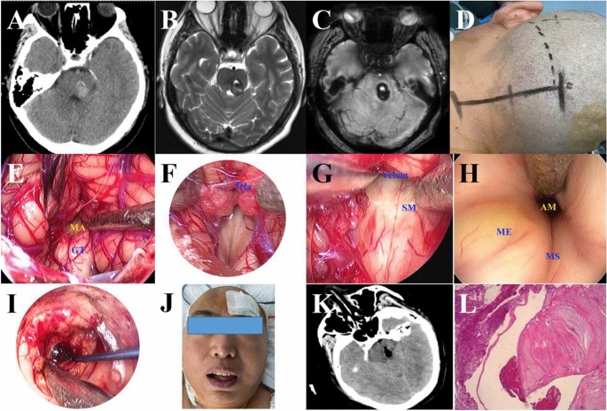 sample research journal article figure 2