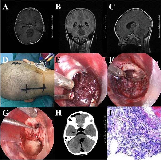 sample research journal article figure 4