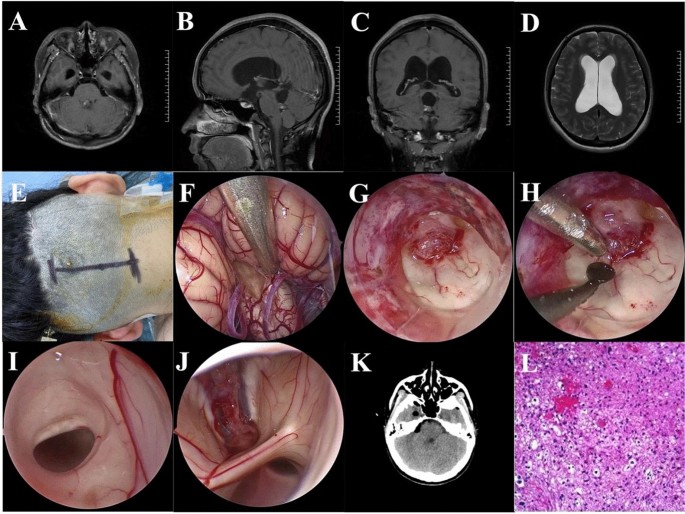 sample research journal article figure 5
