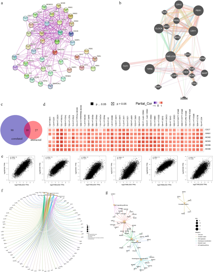 Dama - Online by UAB Target Works