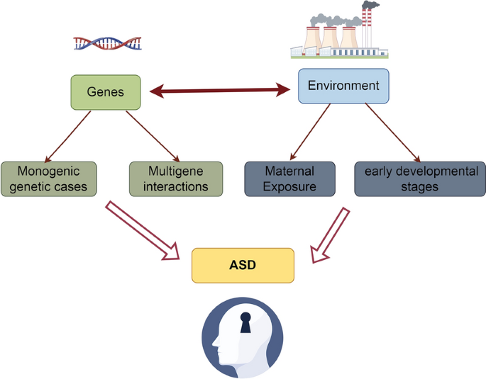 research papers on autism spectrum disorder figure 1