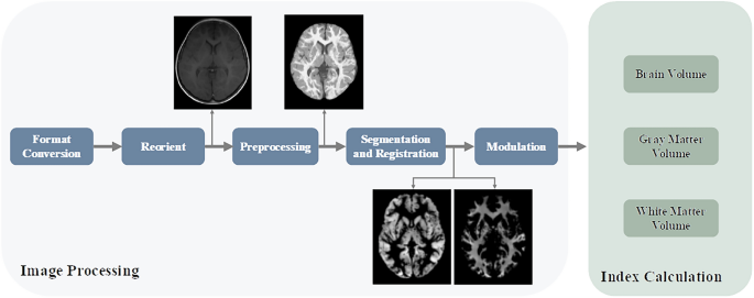 Brain structural alterations correlate with motor dysfunction in ...