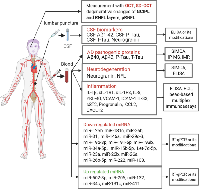 PDF) Blood Biomarkers of Alzheimer's Disease and Cognition: A Literature  Review.