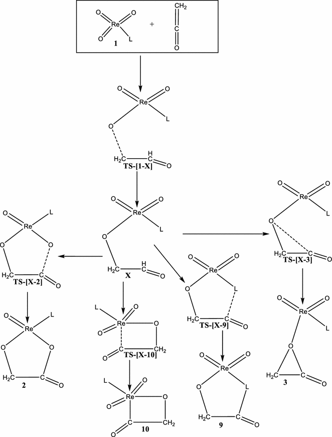 scheme 3