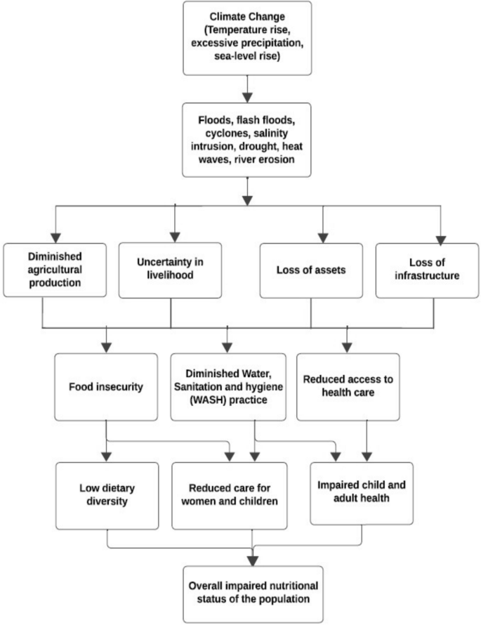 Disparities in food security and nutrition across climate-vulnerable ...