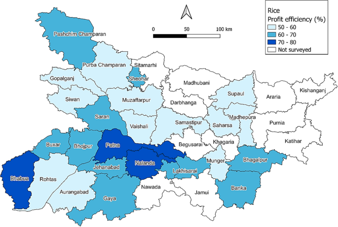Delineating profit gaps in rice and wheat production: evidence from ...