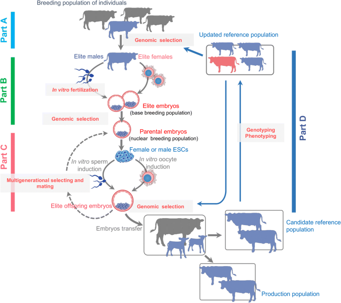 Revolutionize livestock breeding in the future: an animal embryo-stem cell  breeding system in a dish | Journal of Animal Science and Biotechnology |  Full Text