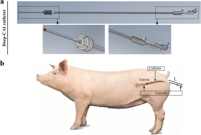 A new device for deep cervical artificial insemination in gilts reduces the  number of sperm per dose without impairing final reproductive performance |  Journal of Animal Science and Biotechnology | Full Text