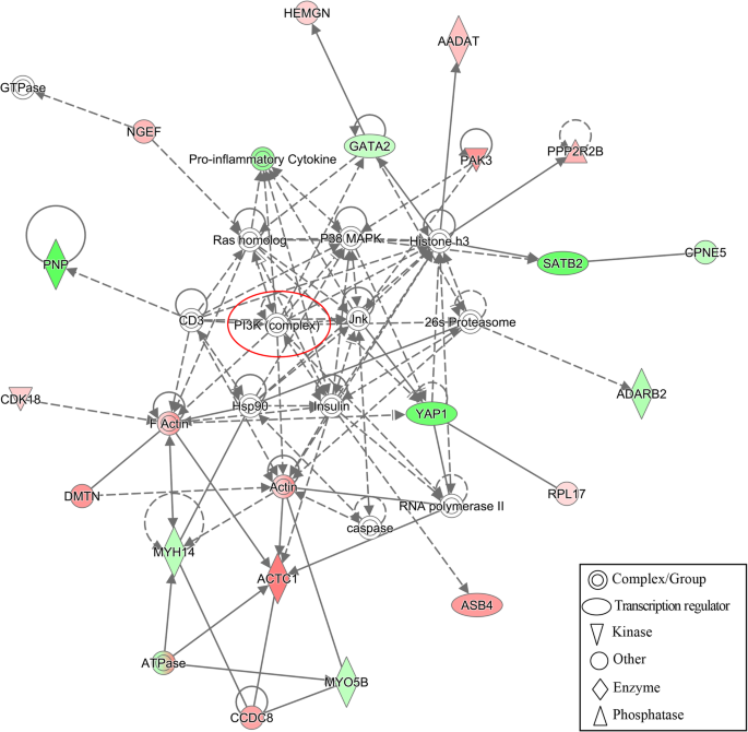 Molecular fingerprinting of bovine mastitis-associated