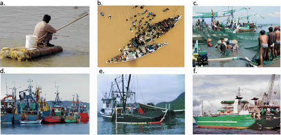 History of Commercial Fishing - Development of the Fishing Industry
